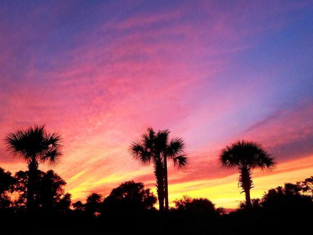 Micanopy Inn Hotel 2*